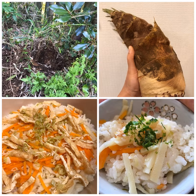 みんなの投稿の画像