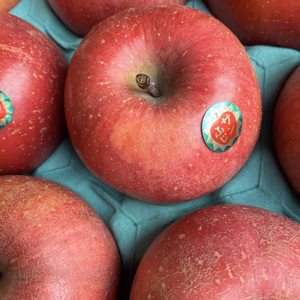 青森県産傷ありサンふじ【大玉12玉】5キロ箱