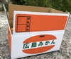 【家庭用・無農薬】甘夏(小玉)　5kg/箱