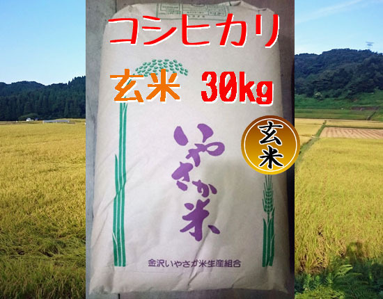 販売一時停止】R6年産 コシヒカリ 玄米30k
