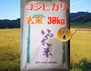 コシヒカリ 玄米 30kg【R６年産】金沢いやさか米
