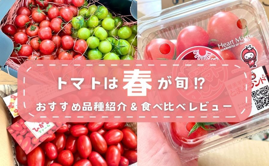 4月の旬のお野菜