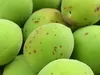 【予約販売】 爽やかな初夏の香り 和歌山県産 紀州南高梅 ご家庭用 約1kg
