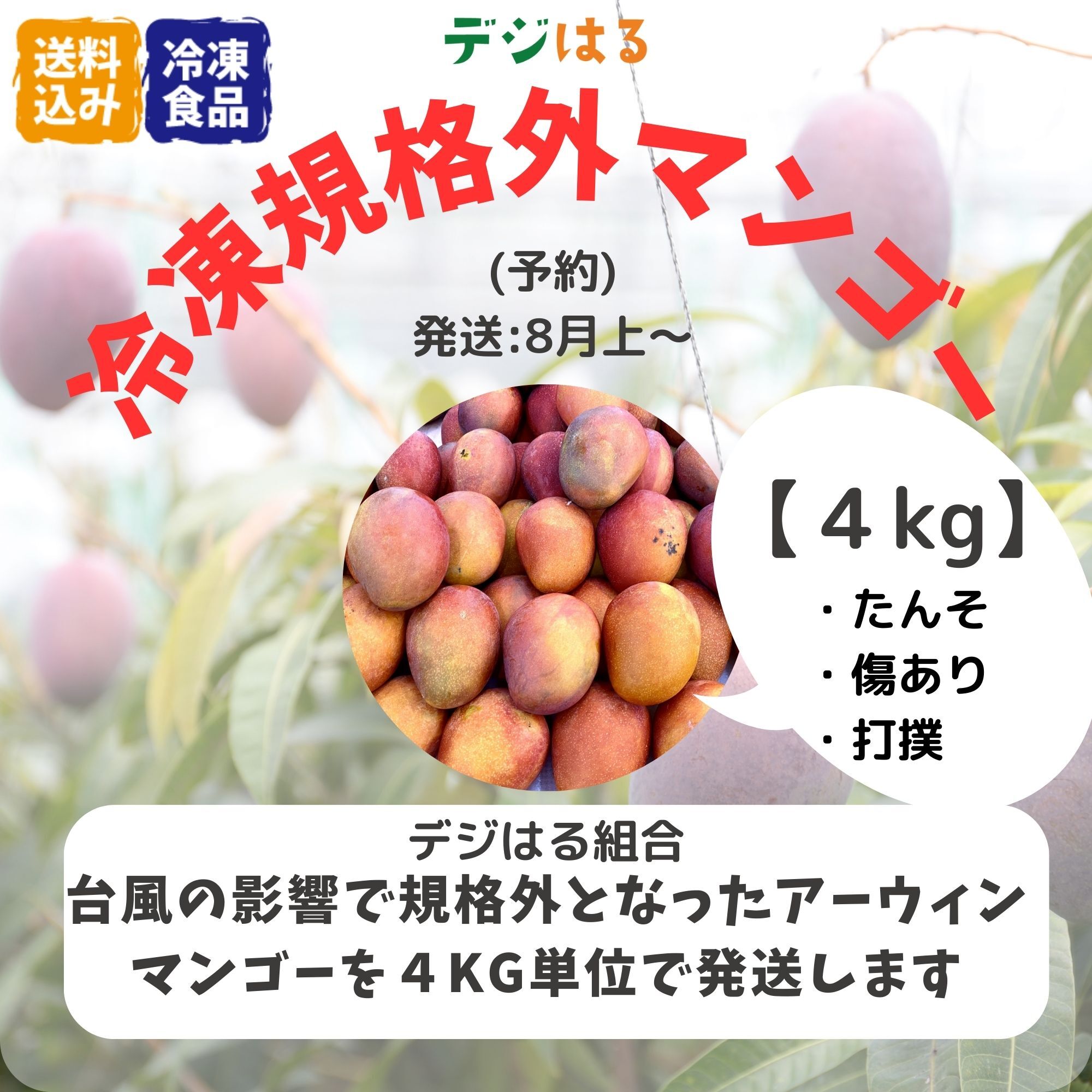 お買い得品】沖縄県産マンゴー【4kg】 - 果物