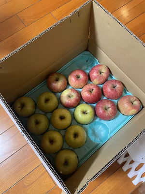 みんなの投稿の画像