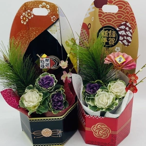 葉牡丹　迎春クラフトBOX  六花(りっか）2種類セット