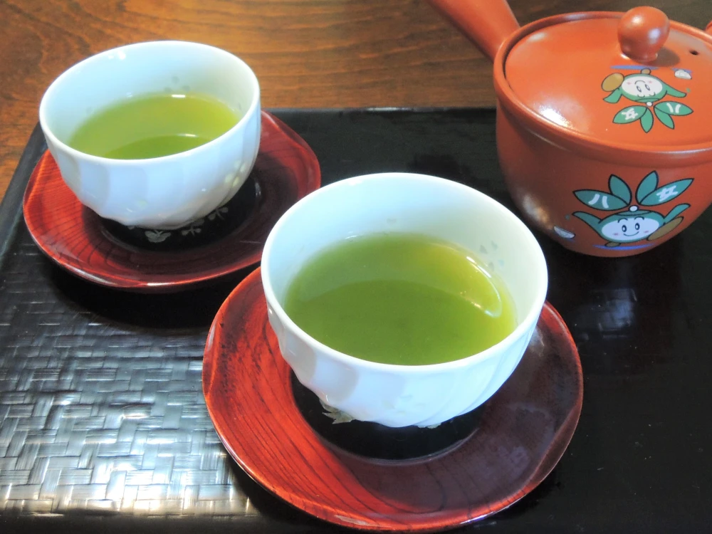 【ネコポス便】（送料無料）2023年新茶 八女茶 上煎茶