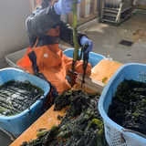 山本浩子 | コウ夫婦