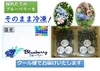 ブルーベリージャム作成用　冷凍果実キット