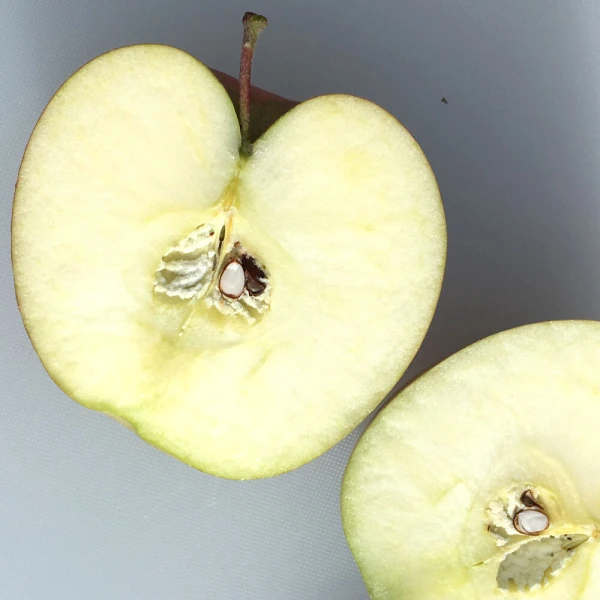 12月上旬～さむさわのりんご 加工用青玉・変形 サンふじ 5キロ 14～18玉