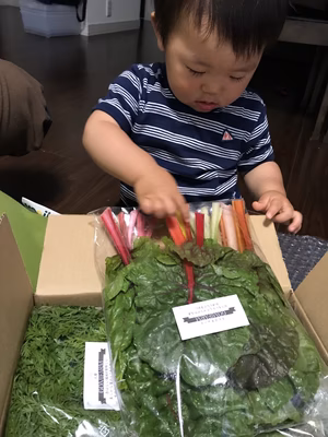 みんなの投稿の画像