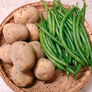 新ジャガイモ（デジマ）／さやインゲン