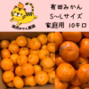 愛情たっぷりで育った有田みかん★温州みかん　家庭用　S・M・Lサイズ　約10キロ