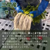 【三関産せり】せり 鍋 お歳暮 芹 鍋料理  きりたんぽ 秋田 セリ 天ぷら
