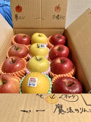 みんなの投稿の画像