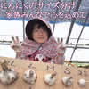 【今だけ❗️50g増量❗️】まるでお芋✨青森にんにく白玉王（小玉）
