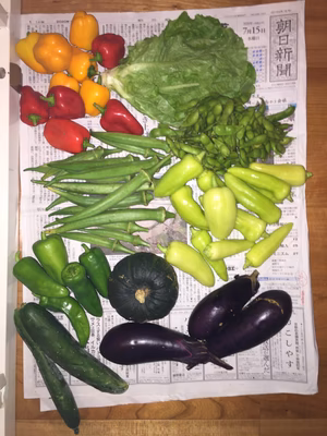 みんなの投稿の画像