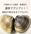 新鮮でプリプリの活九十九里地はまぐり　千葉県ブランド海産物認定品 約8個〜14個