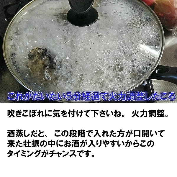 使い勝手が良い冷凍品★無選別 冷凍便 殻付き牡蠣 牡蛎 1.5-10kgまで