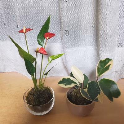 みんなの投稿の画像