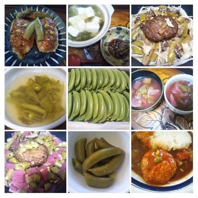 みんなの投稿の画像