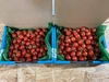 【ポケマル限定】濃厚小粒トマトベリー1kg送料無料