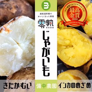 「最高金賞受賞」零熟インカのめざめと零熟きたかむいセット（サイズ混在）