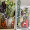 常温で発送　野菜10品セット　100サイズ　水菜　キャベツ　大根　人参等
