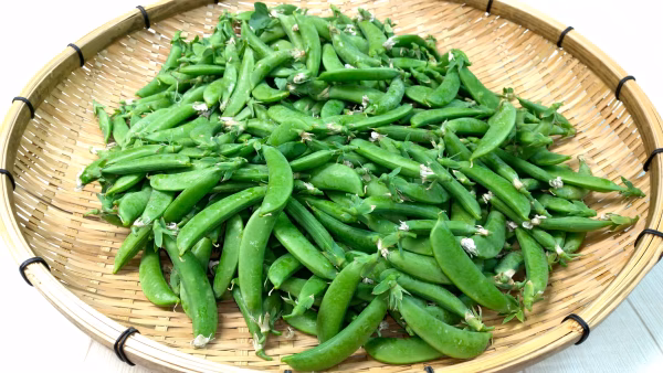 止まらない美味しさ！スナップ豌豆
