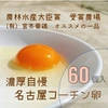 卵黄トロ～リ(^^)濃厚自慢‼　×60個・名古屋コーチンの箱売りたまご‼