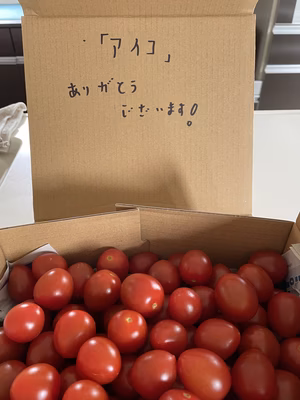 みんなの投稿の画像