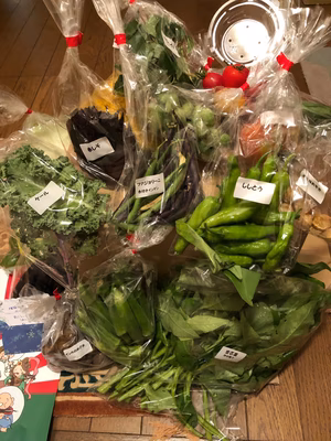 みんなの投稿の画像