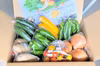 夏野菜詰め合わせ 5種以上 産地直送 ＊送料無料＊