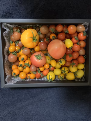 みんなの投稿の画像