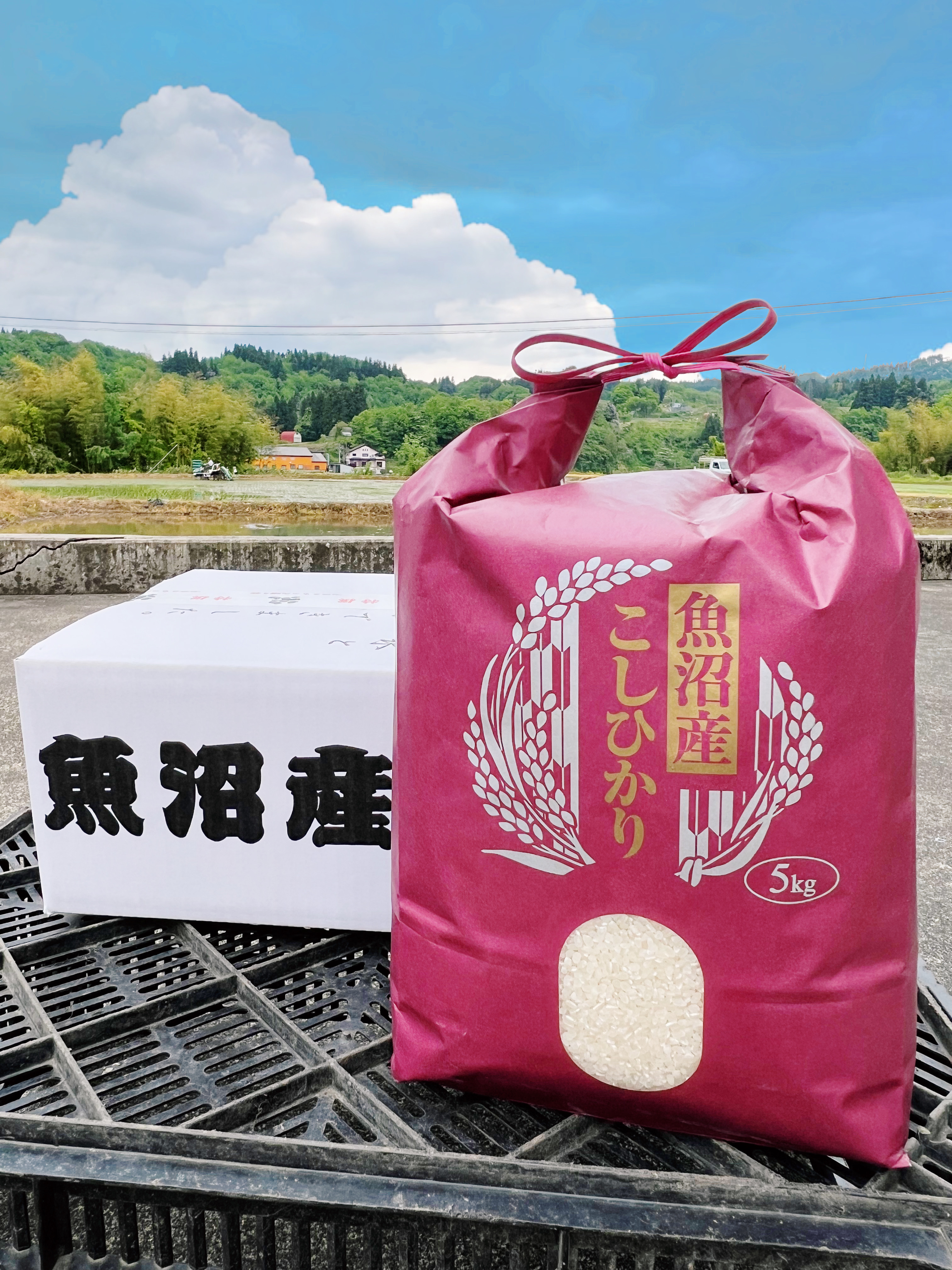 米・穀類の産直通販・お取り寄せ商品｜ポケットマルシェ｜産地