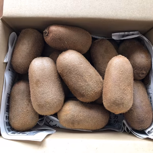 山梨県産キウイフルーツ（香緑）大玉