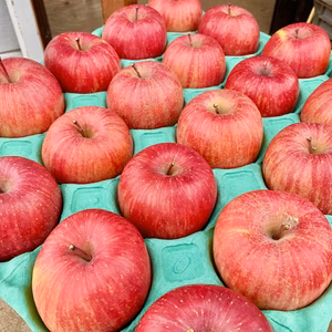信州産りんご『完熟サンふじ【小玉】』ご贈答