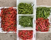 げきから唐辛子セット　見切り処分セール