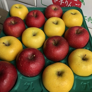 濃厚サンふじ&果汁いっぱいシナノゴールド ギフト品5㎏