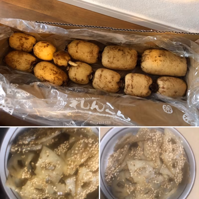 みんなの投稿の画像