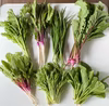 大変希少な【自然栽培×固定種】の野菜セット「プレミアム野菜ボックス」