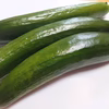 【訳アリ】みずみずしい！さっぱりとした味わいのきゅうり♪