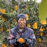 萩森之誠 | 誠農園