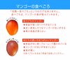 訳あり【樹上完熟】燦々マンゴー（沖縄県産）2.0kg～10kg