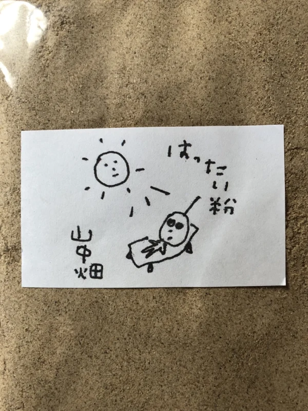 和歌山県白浜産　六条大麦　はったい粉