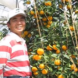 出口元基 | 美菓撰菓　ヤマゲン