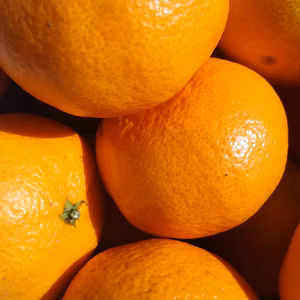 ジュワッ❗❗【自然栽培みかん✨✨✨】ばぁばのものすごい果物✨✨