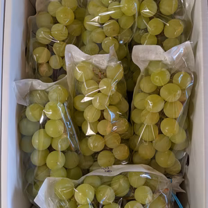 シャインマスカット７房