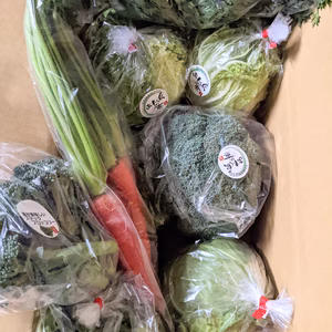 淡路島おまかせ野菜セット100