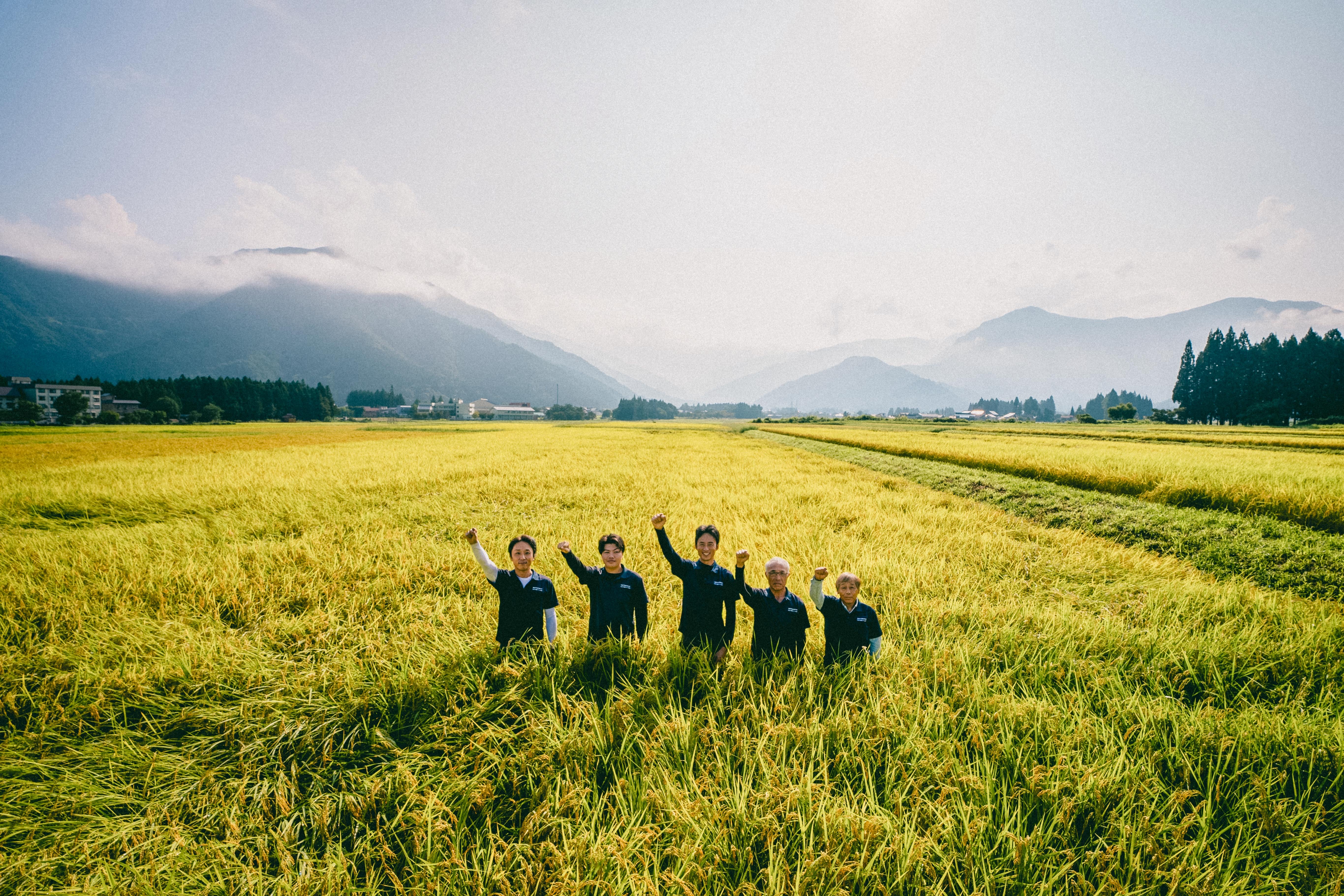 R7年産【最高金賞受賞！】もっちり甘い！南魚沼産コシヒカリ ひらくの